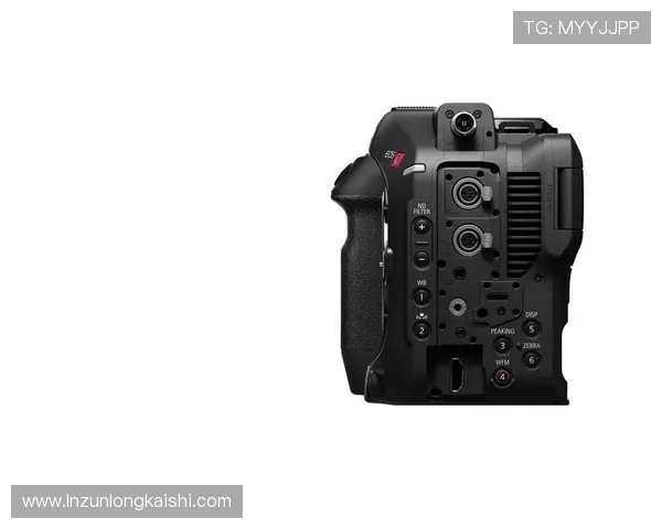 尊龙z6线上登陆平台最新安全指南与操作流程详解